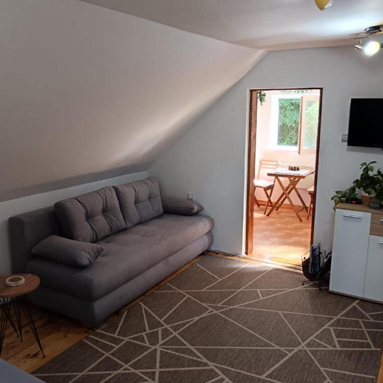 Crni vrh Divcibare - Apartman sa 1 Spavaćom Sobom - 10