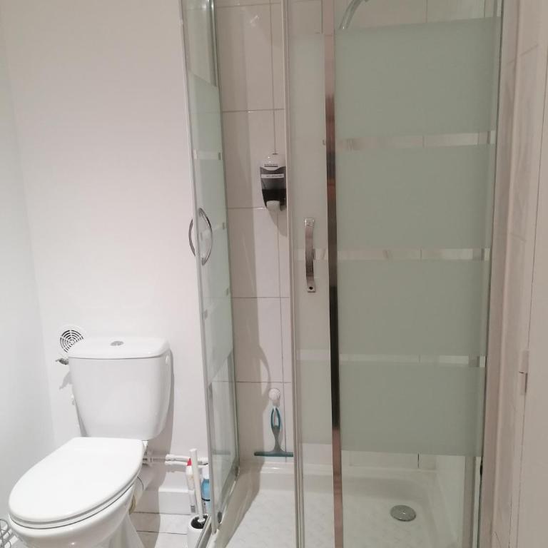Le Petit Chalet -Appartement proche de la vieille ville , du centre ville et du Tram- PETIT DEJEUNER OFFERT - Appartement - Rez-de-Chaussée - 15