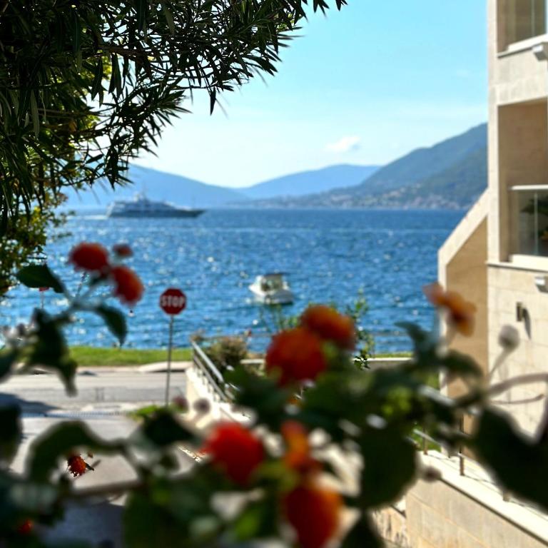 Caruso apartment - Apartman sa 1 Spavaćom Sobom - 31