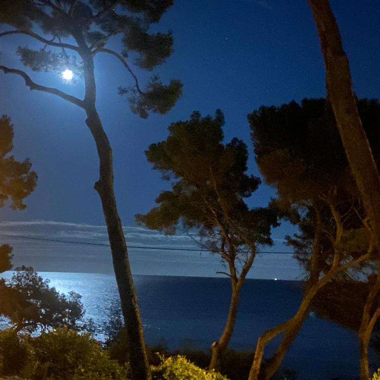 Grande villa face à la plage, superbe vue mer - Villa - 29