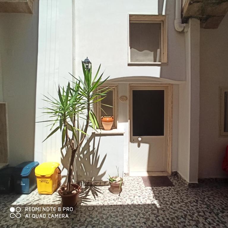 Le Perle dello Jonio - Appartamento Standard - 2