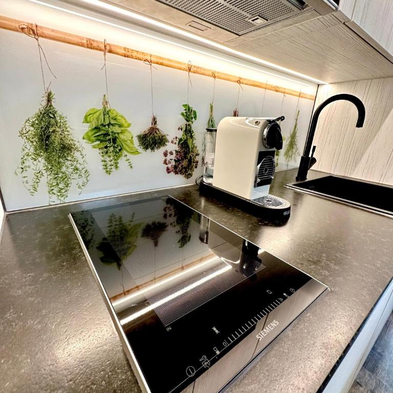 AlpenOase Schliersee - große Suite mit Sauna oder gemütliche Studio Appartements - Apartment mit Sauna - 7