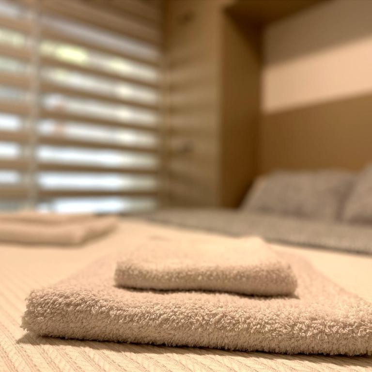 Caruso apartment - Apartman sa 1 Spavaćom Sobom - 21