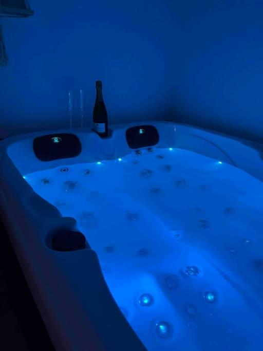 Cocon Classé 3 Etoiles - Love et Détente - SPA - Villa 1 Chambre - 58