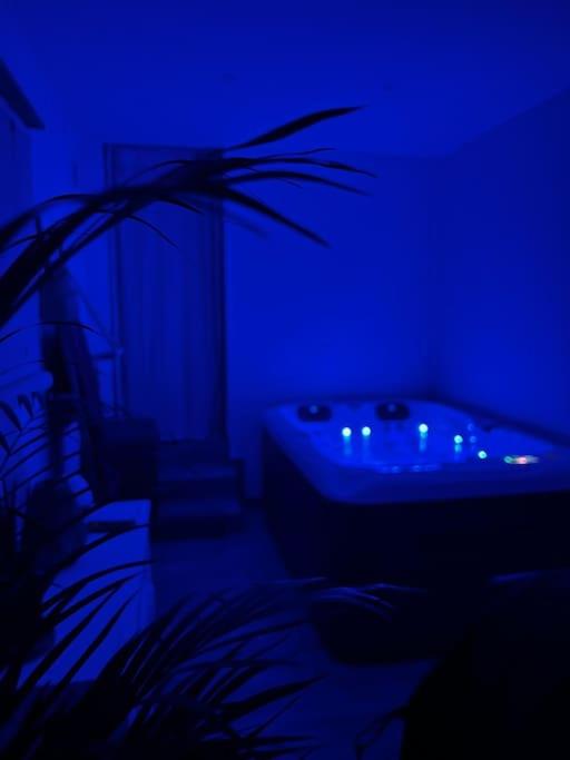 Cocon Classé 3 Etoiles - Love et Détente - SPA - Villa 1 Chambre - 60