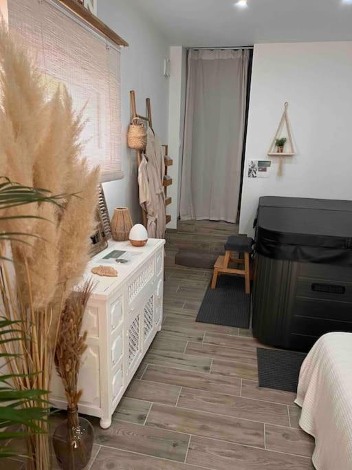 Cocon Classé 3 Etoiles - Love et Détente - SPA - Villa 1 Chambre - 51