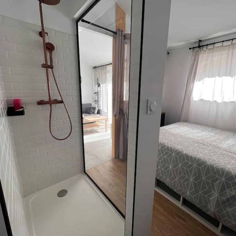 Cocon Classé 3 Etoiles - Love et Détente - SPA - Villa 1 Chambre - 17
