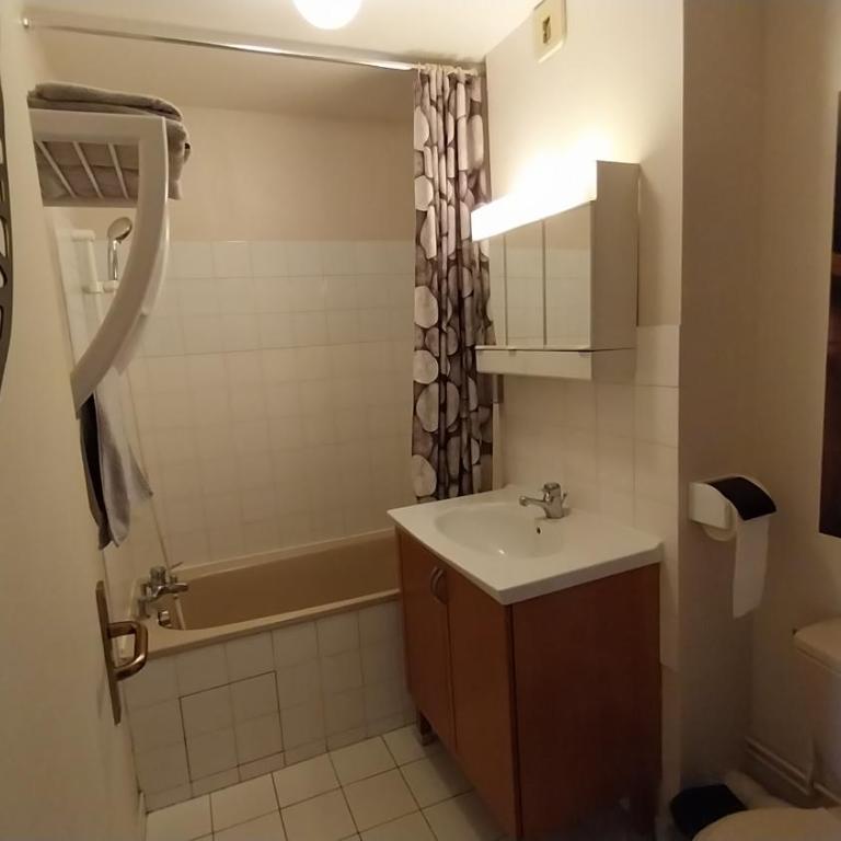 Meublé de tourisme 2* les Jardins de l Arquebuse - Appartement 1 Chambre - 8