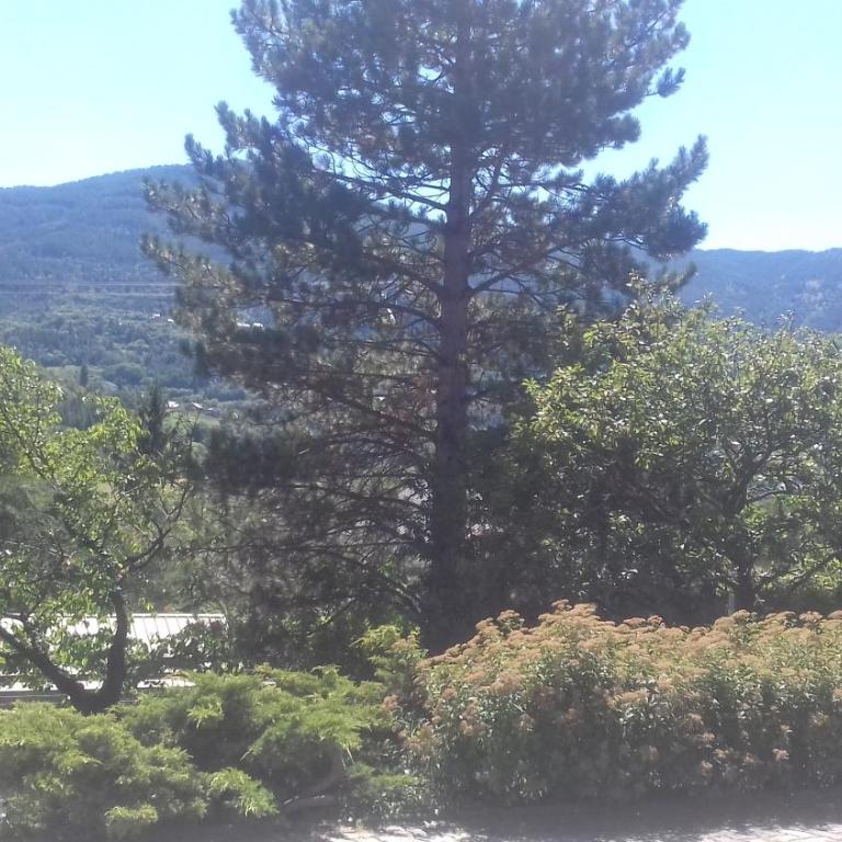 Villa Soleil 12 rue Joseph Mathieu - Appartement 1 Chambre - 7