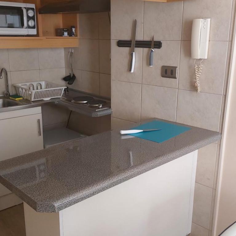 Departamento Barrio Bellas Artes - One-Bedroom Apartment - 13