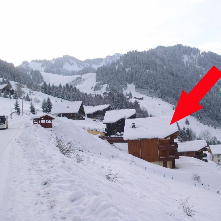Modern apartment in Chatel with fantastic views - Appartement 2 Chambres - 1