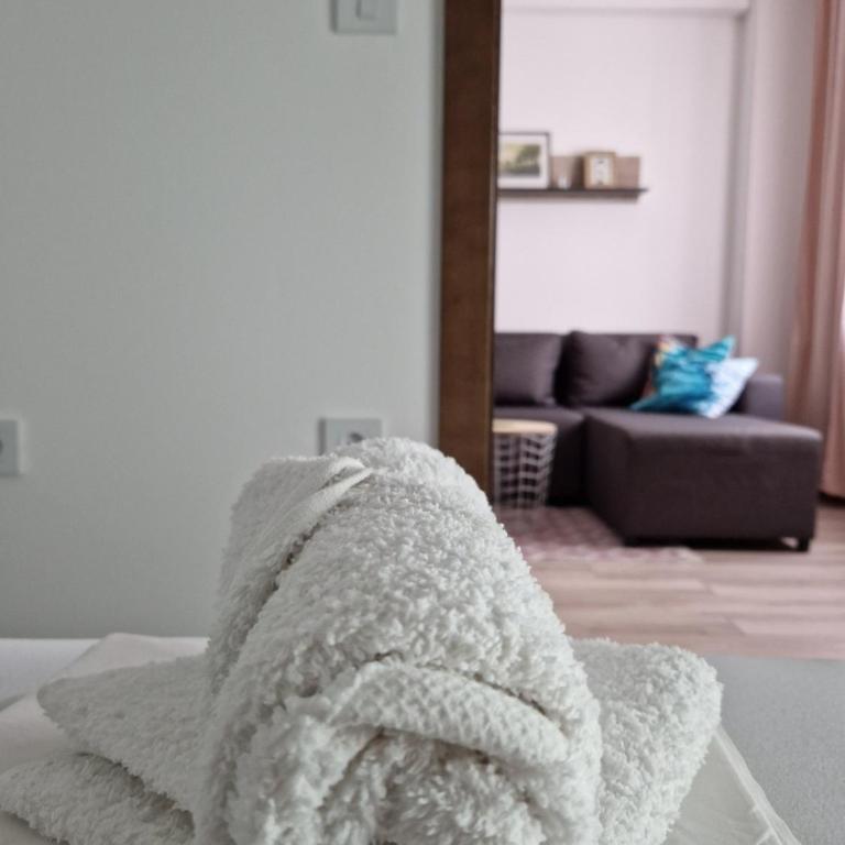 apartman TARA aqua park - Apartman sa 1 Spavaćom Sobom - 15