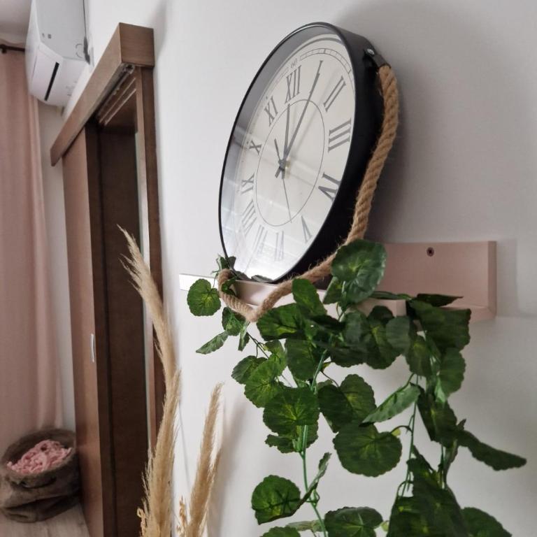 apartman TARA aqua park - Apartman sa 1 Spavaćom Sobom - 13
