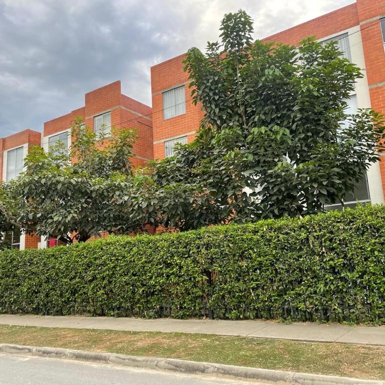 Lindo Apartamento en Ricaute - Apartamento de 2 dormitorios - 6