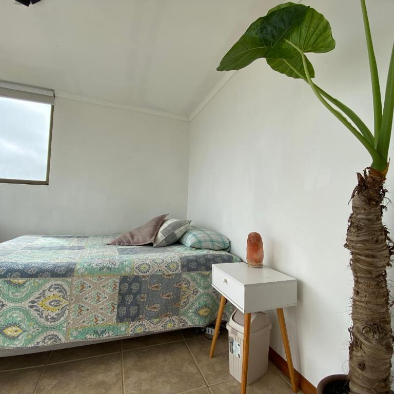 Departamento en Reñaca con hermosa vista al Mar - Apartamento de 2 dormitorios - 9
