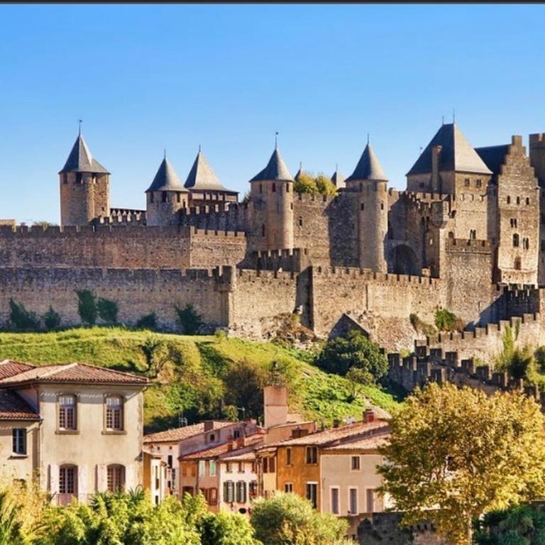 Gîte au pied de la Cité Médiévale - Le 127 - Appartamento con 1 Camera da Letto - 27