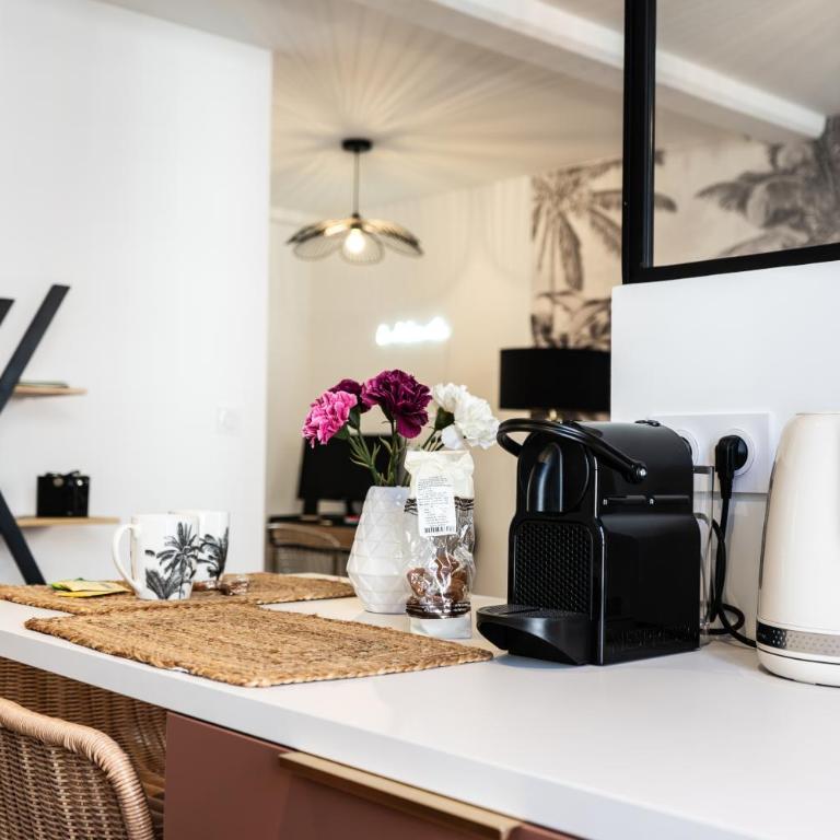 Le grand Arth&M Clermont Ferrand - Appartement 1 Chambre - 4