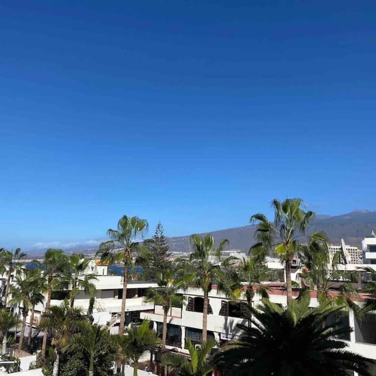 Palm trees studio - Las Américas - Apartamento de 1 dormitorio - 18