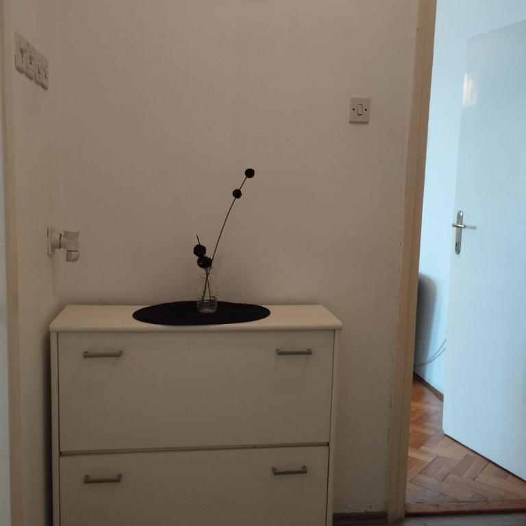 Apartman Centar - Apartman sa 1 Spavaćom Sobom - 15