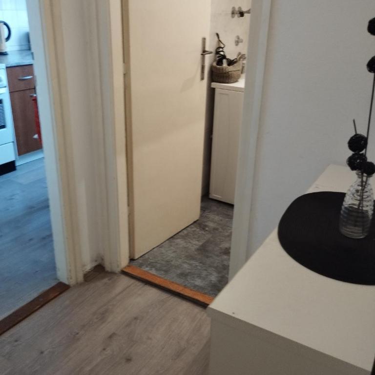 Apartman Centar - Apartman sa 1 Spavaćom Sobom - 14