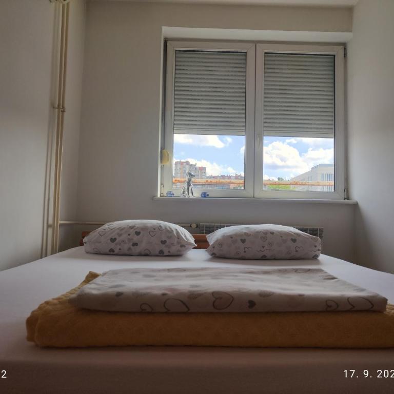 Srecko No3 - Apartman sa 1 Spavaćom Sobom - 4