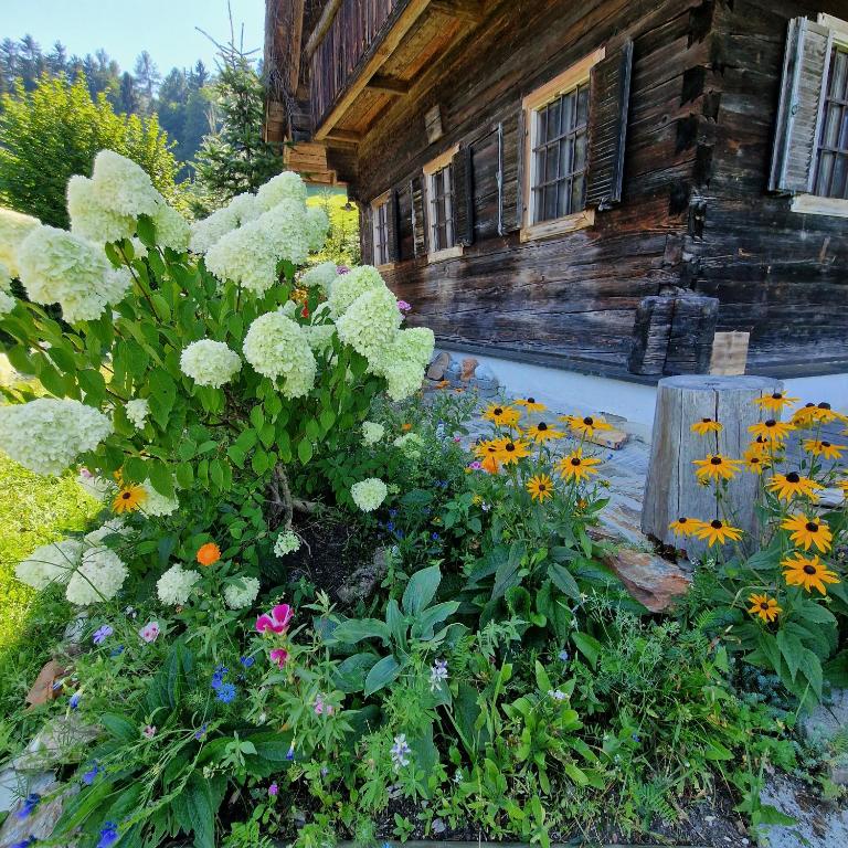 Ruhige Hütte - Naturparadies Alleinlage auf 900m - Ferienhaus - 12