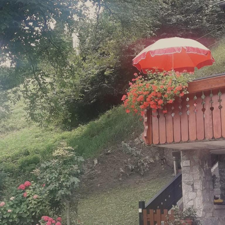 CASETTA INDIPENDENTE NEL VERDE PER 2/3 PERSONE - Casa con 1 dormitorio - 4