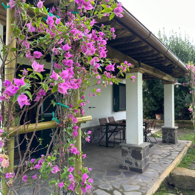 Agriturismo Iride - Villa con 1 Camera da Letto - 1