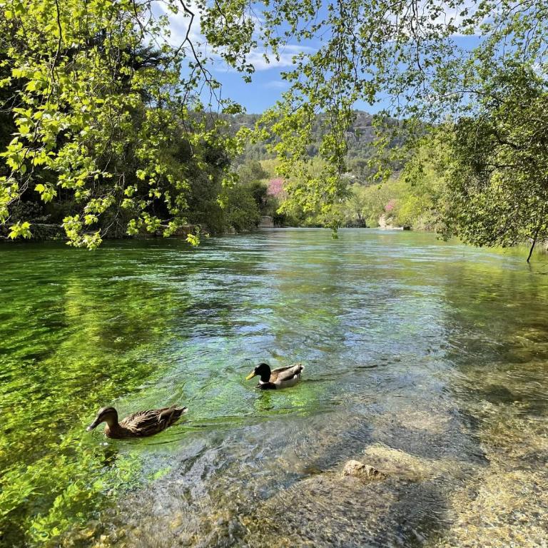 La Villa des Lavandes - A 300m du Centre, au calme, et au vert ! - Villa - 11