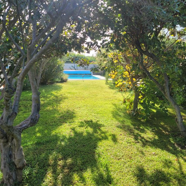 La Villa des Lavandes - A 300m du Centre, au calme, et au vert ! - Villa - 8