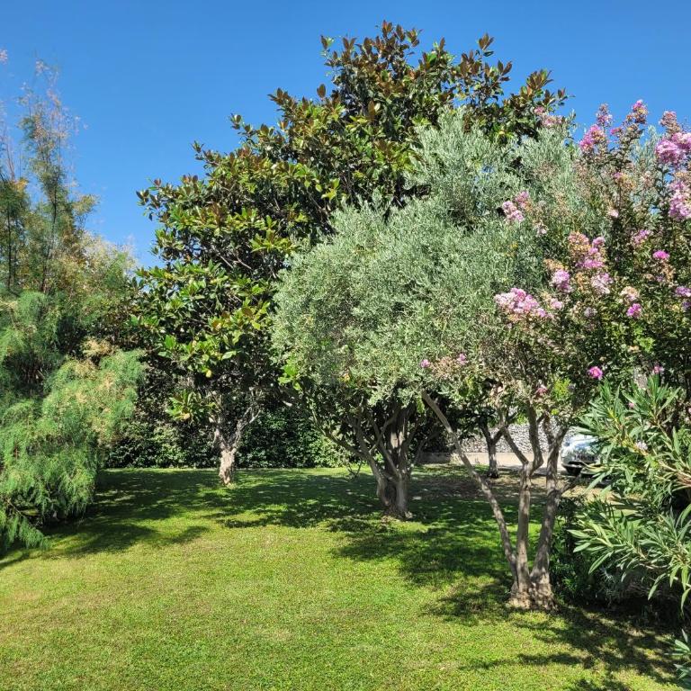 La Villa des Lavandes - A 300m du Centre, au calme, et au vert ! - Villa - 9