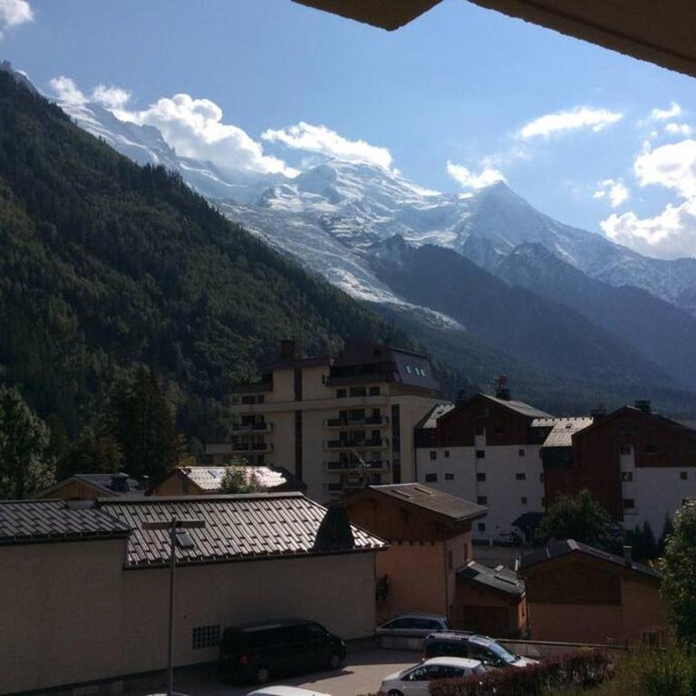 Lyret - Centre ville, vue MontBlanc, parking, wifi - Apartamento de 1 dormitorio - 15