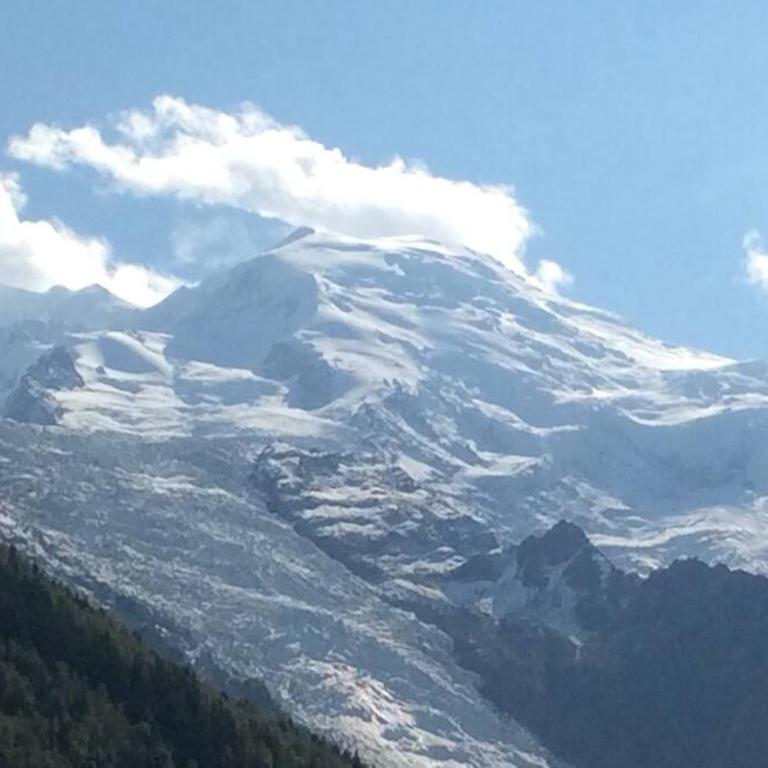 Lyret - Centre ville, vue MontBlanc, parking, wifi - Apartamento de 1 dormitorio - 14