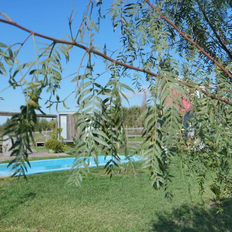 Cabañas y Padel Tinycolchagua cl - Casa con 1 dormitorio - 5