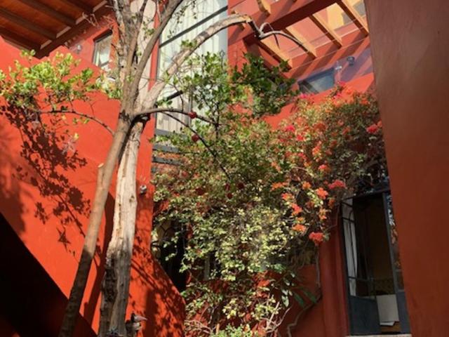 Antigua Casa del Limon - Three-Bedroom House - 32