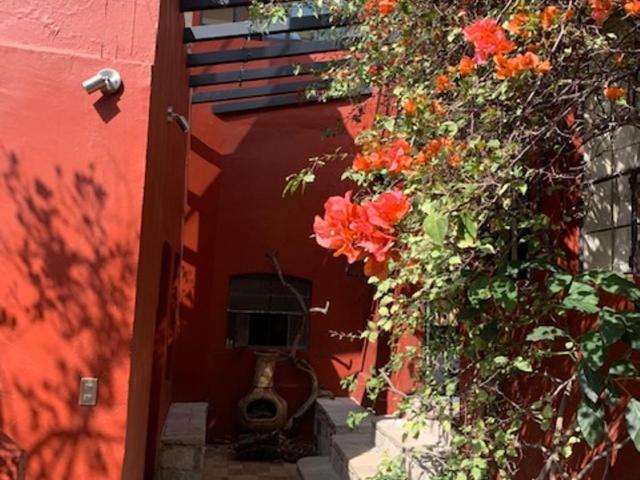 Antigua Casa del Limon - Three-Bedroom House - 33