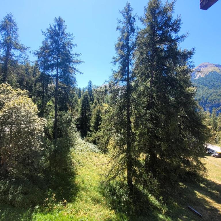 Le Lodge des marmottes - Calme, cosy, vue nature - Apartment mit 1 Schlafzimmer - 20