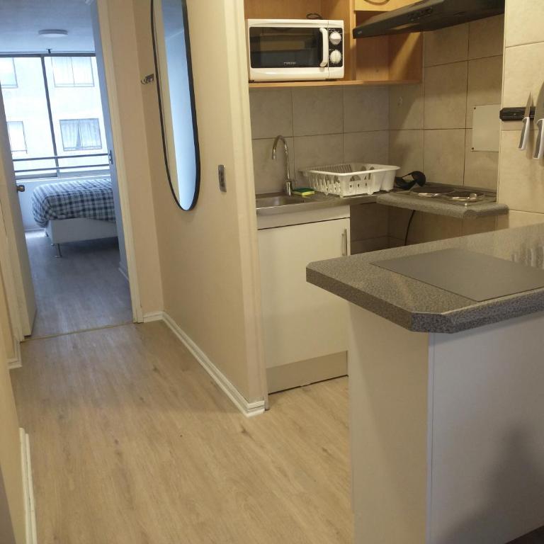Departamento Barrio Bellas Artes - One-Bedroom Apartment - 1