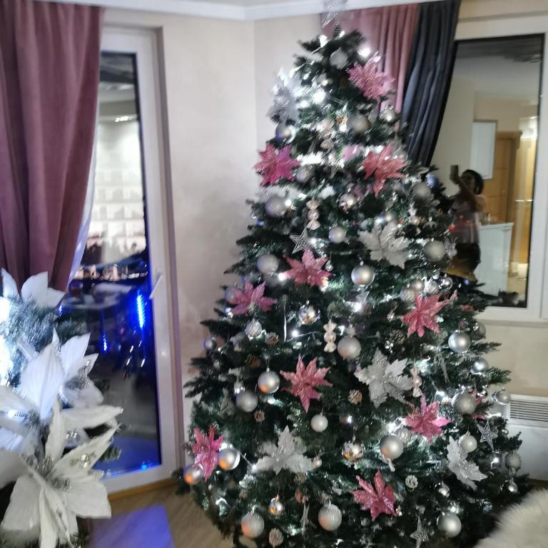 Apartman sa ljuljaskom - Apartman sa 1 Spavaćom Sobom - 89