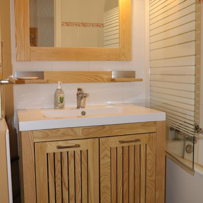 Bartavelle Pied des pistes Praloup - Appartement 1 Chambre - 8