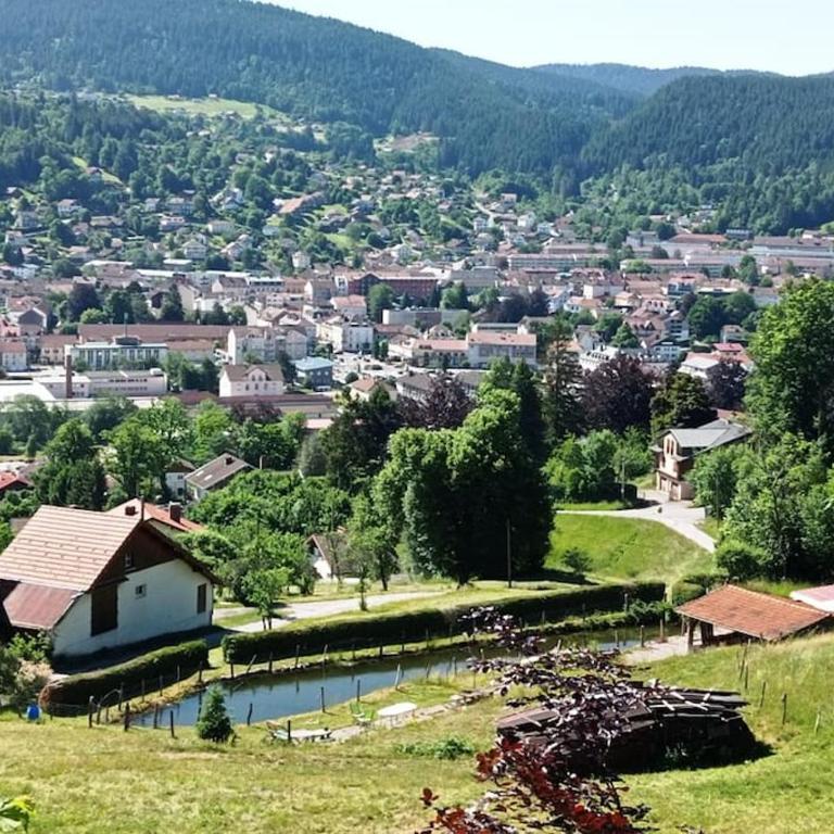 Chalet de standing 12 personnes - Chalet Supérieur - 40