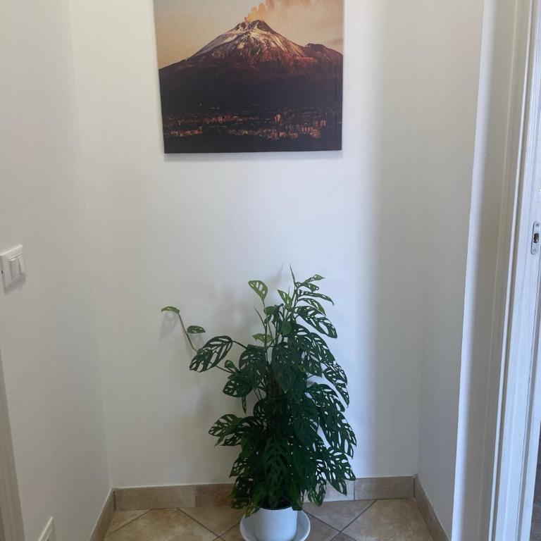 Maison de Cheeramie - Tourist Apartments Tra Mare e Etna - Appartamento - 12