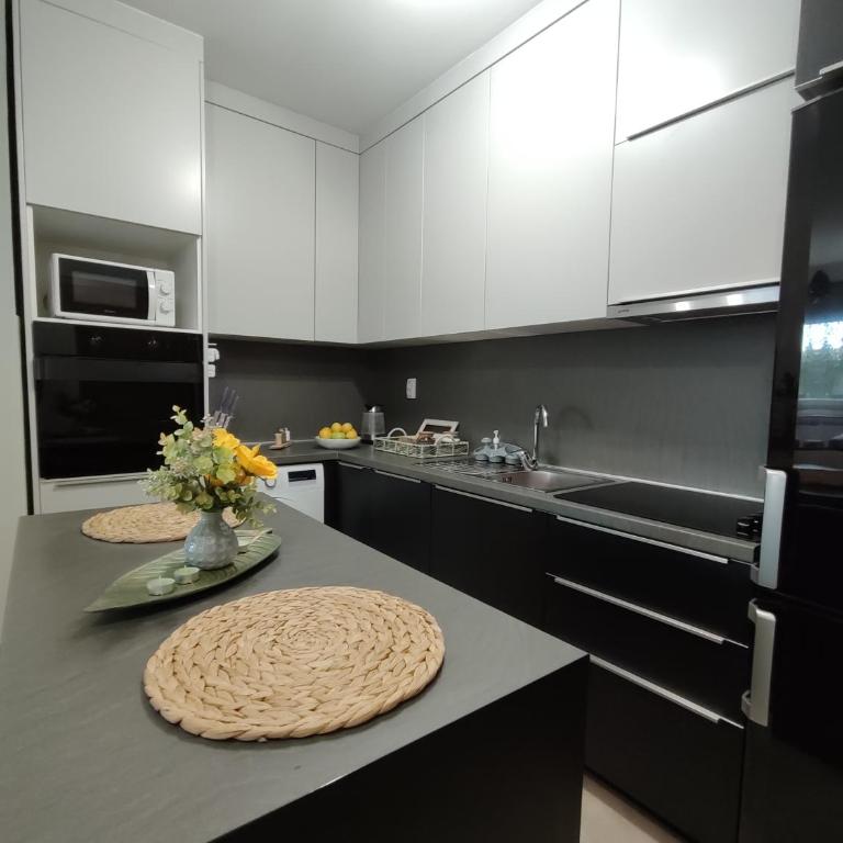 Apartman Hajduković - One-Bedroom Apartment - 9