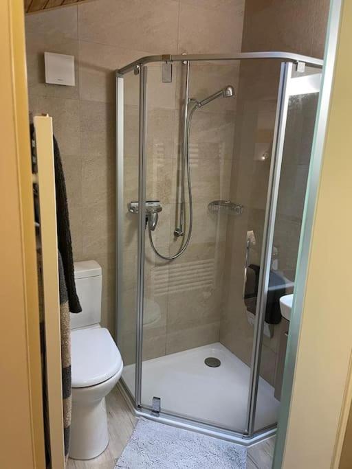 Studio dans un chalet avec jardin privatif - Apartment mit 1 Schlafzimmer - 10