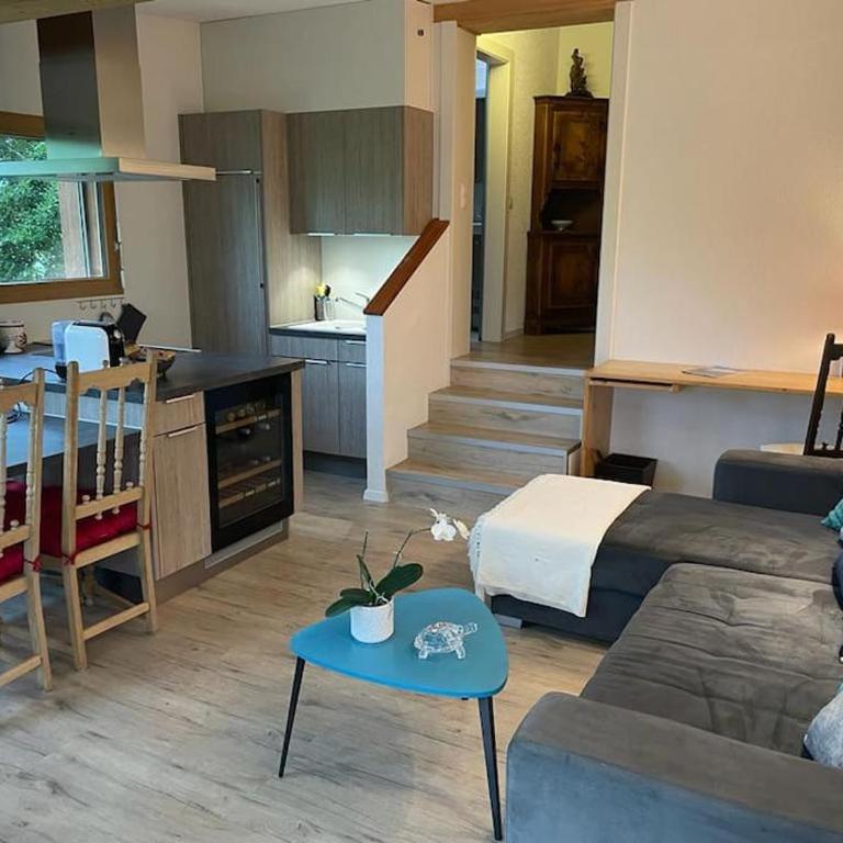 Studio dans un chalet avec jardin privatif - Apartment mit 1 Schlafzimmer - 20