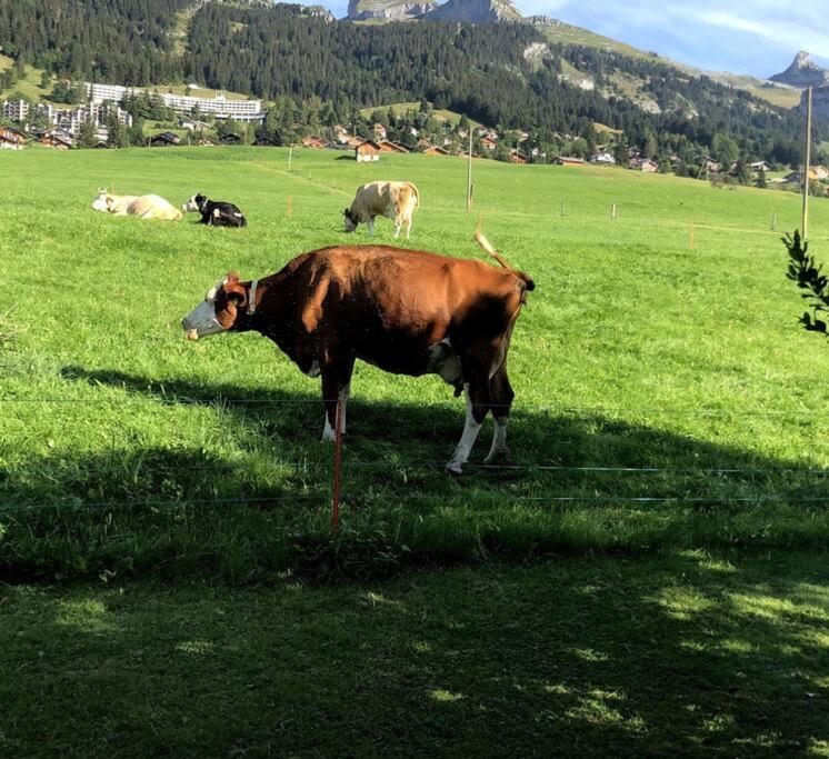 Studio dans un chalet avec jardin privatif - Apartment mit 1 Schlafzimmer - 21