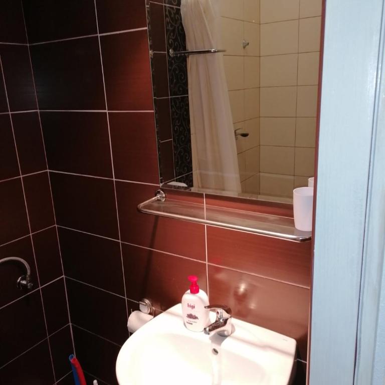 Apartmani Milica - Apartman sa 3 Spavaće Sobe - 7