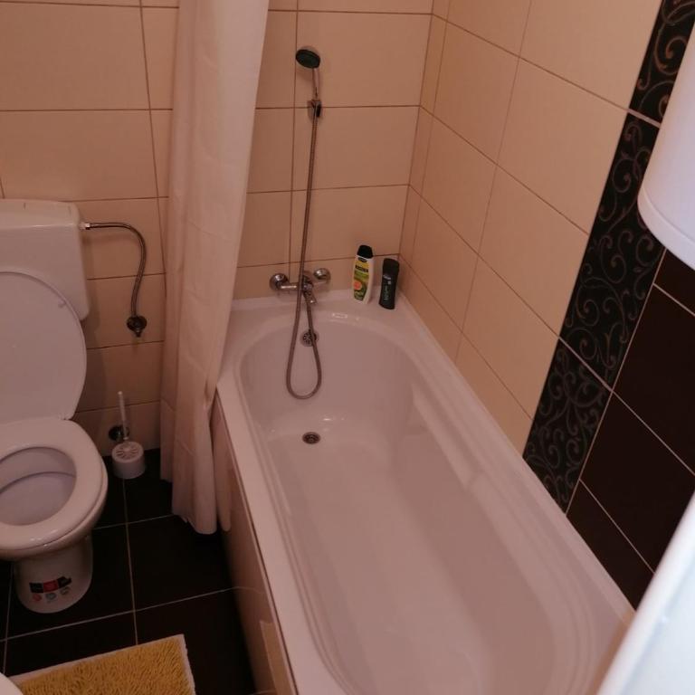 Apartmani Milica - Studio Apartman - 10