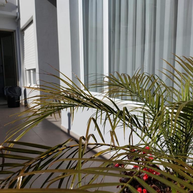 Departamento Tandil - Apartamento de 2 dormitorios - 18