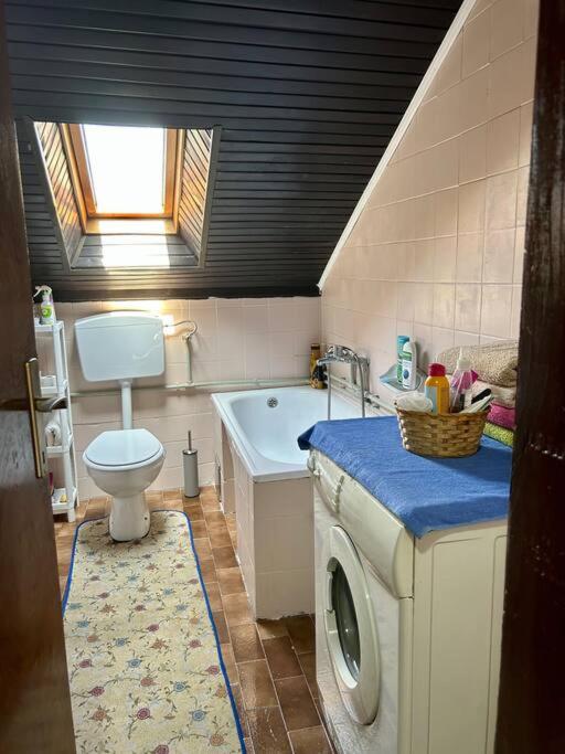 Central Park Apartment - Apartman sa 1 Spavaćom Sobom - 19